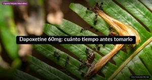 Dapoxetine 60mg: cuánto tiempo antes tomarlo